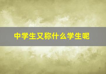 中学生又称什么学生呢