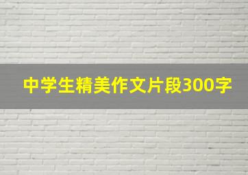 中学生精美作文片段300字