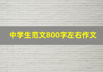 中学生范文800字左右作文