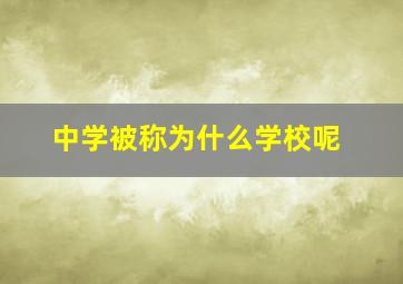 中学被称为什么学校呢