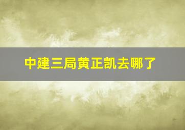 中建三局黄正凯去哪了