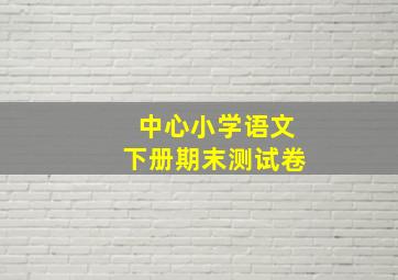 中心小学语文下册期末测试卷