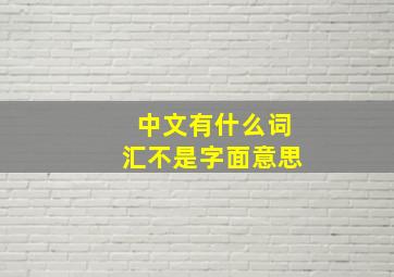 中文有什么词汇不是字面意思