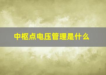 中枢点电压管理是什么