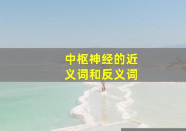 中枢神经的近义词和反义词