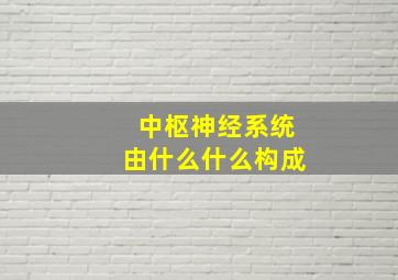 中枢神经系统由什么什么构成