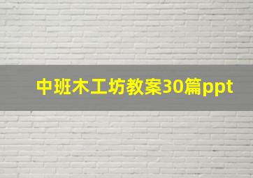 中班木工坊教案30篇ppt