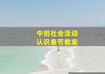 中班社会活动认识春节教案