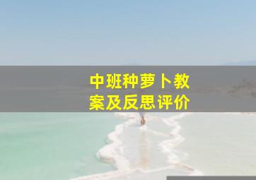 中班种萝卜教案及反思评价