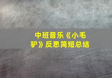 中班音乐《小毛驴》反思简短总结