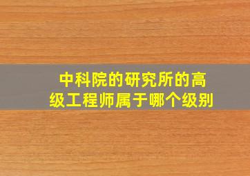 中科院的研究所的高级工程师属于哪个级别