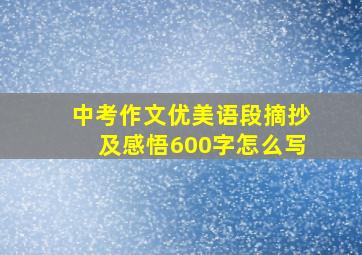 中考作文优美语段摘抄及感悟600字怎么写