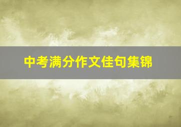 中考满分作文佳句集锦