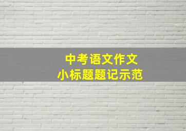 中考语文作文小标题题记示范