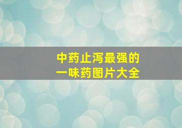 中药止泻最强的一味药图片大全