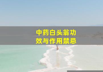 中药白头翁功效与作用禁忌