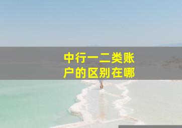 中行一二类账户的区别在哪