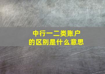 中行一二类账户的区别是什么意思