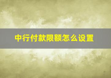 中行付款限额怎么设置