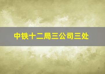 中铁十二局三公司三处