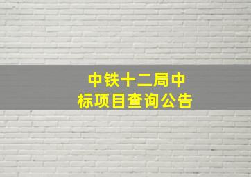 中铁十二局中标项目查询公告