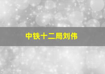 中铁十二局刘伟