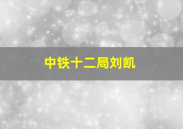 中铁十二局刘凯