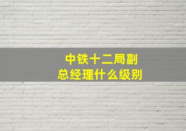 中铁十二局副总经理什么级别