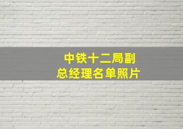 中铁十二局副总经理名单照片