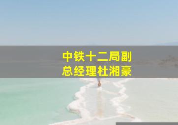 中铁十二局副总经理杜湘豪