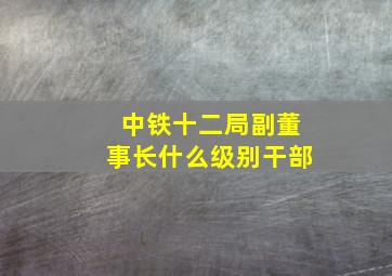 中铁十二局副董事长什么级别干部