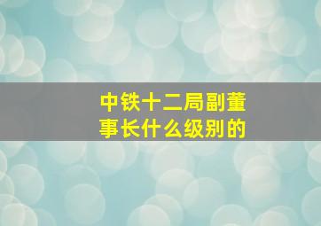 中铁十二局副董事长什么级别的