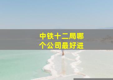 中铁十二局哪个公司最好进