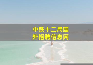 中铁十二局国外招聘信息网