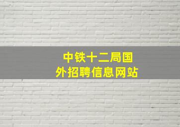 中铁十二局国外招聘信息网站