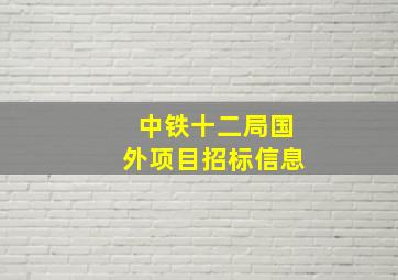 中铁十二局国外项目招标信息