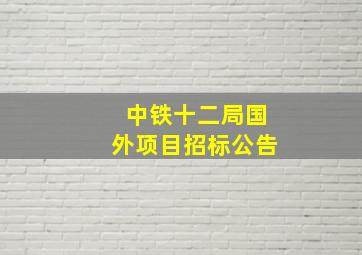 中铁十二局国外项目招标公告