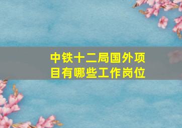 中铁十二局国外项目有哪些工作岗位