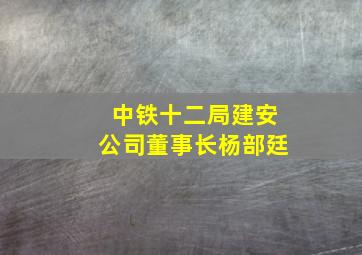 中铁十二局建安公司董事长杨部廷