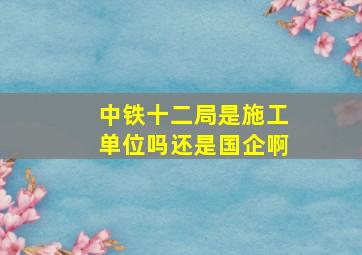 中铁十二局是施工单位吗还是国企啊