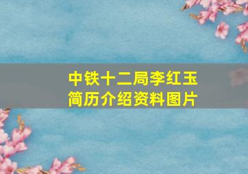 中铁十二局李红玉简历介绍资料图片