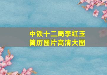 中铁十二局李红玉简历图片高清大图