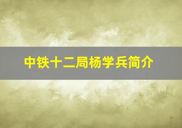 中铁十二局杨学兵简介