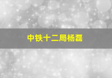 中铁十二局杨磊