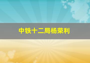 中铁十二局杨荣利