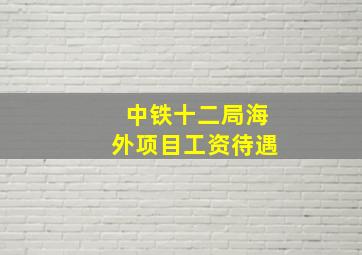 中铁十二局海外项目工资待遇