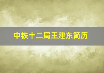 中铁十二局王建东简历