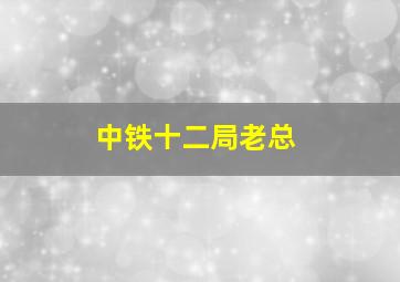 中铁十二局老总