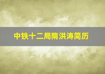 中铁十二局隋洪涛简历