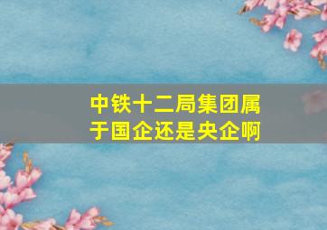 中铁十二局集团属于国企还是央企啊